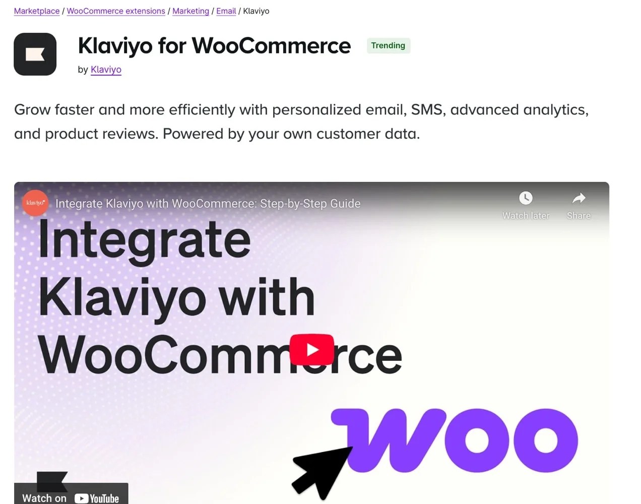 Klaviyo for WooCommerce extension with description and video