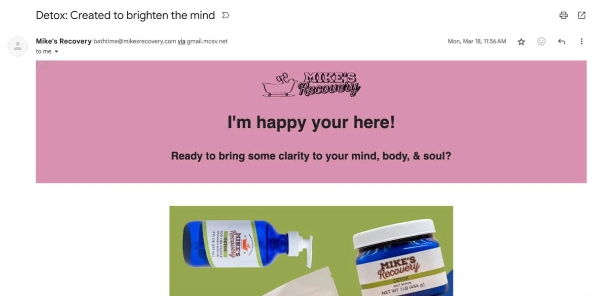 email from Mike's Recovery discussing detox options