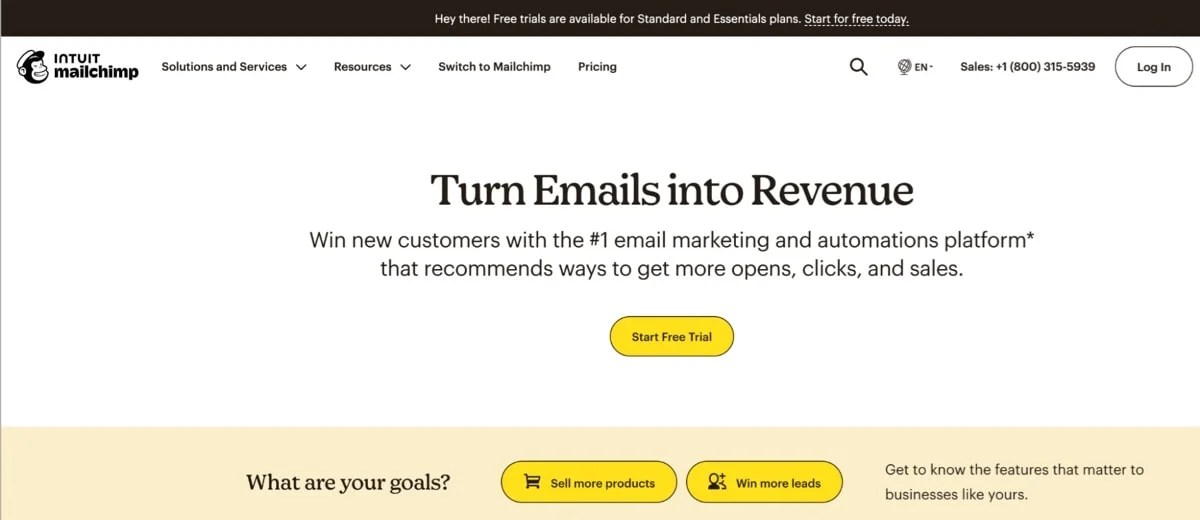 Mailchimp page with the text 'turn emails into revenue'
